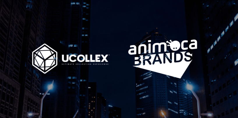 NFT Platform UCOLLEX Closes US$10 Million Series A Led by Animoca Brands